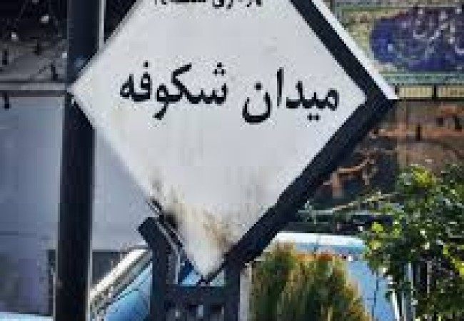 بازسازی ظروف در محله شکوفه تهران | ترمیم ظروف تفلون، گرانیتی، مسی و چدنی با نانو تفلون